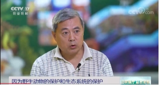 william威廉中文官网